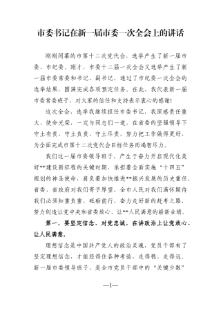 市委书记：在新一届市委一次全会上的讲话