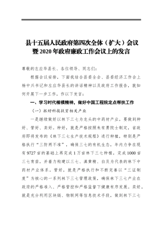 县十五届人民政府第四次全体（扩大）会议暨2020年政府廉政工作会议上的发言