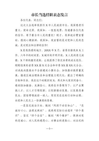 市长：当选任职表态发言