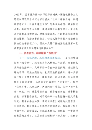 审计局局长2020年度述法报告