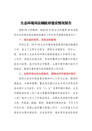 生态环境局法制政府建设情况报告