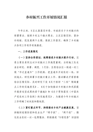 乡村振兴工作开展情况汇报