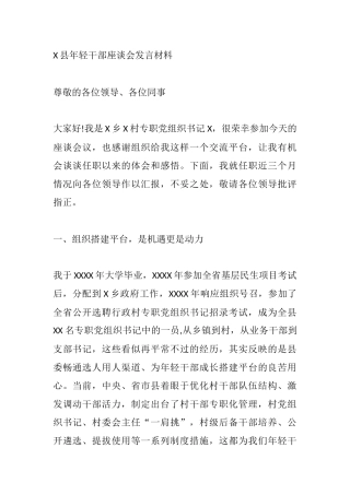 乡X村专职党组织书记在年轻干部座谈会发言材料