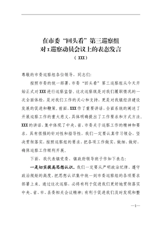 乡镇：在市委“回头看”第三巡察组对X巡察动员会议上的表态发言