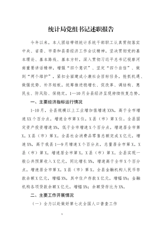 统计局党组书记述职报告