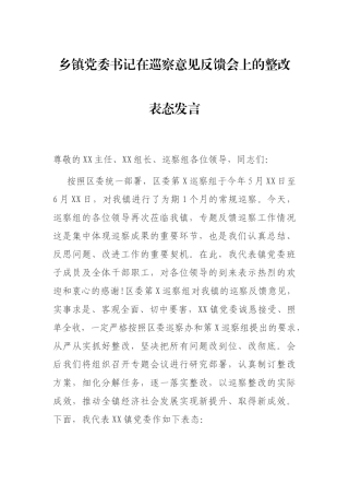 乡镇党委书记在巡察意见反馈会上的整改表态发言