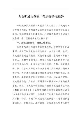 乡镇文明城市创建工作进展情况报告