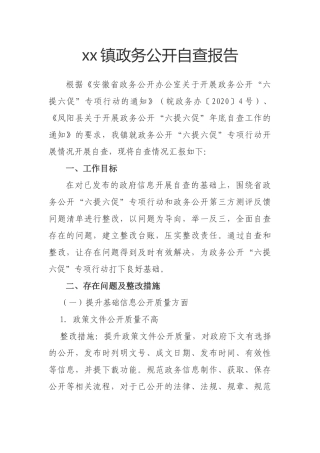 乡镇政务公开自查报告