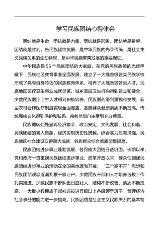 学习民族团结心得体会