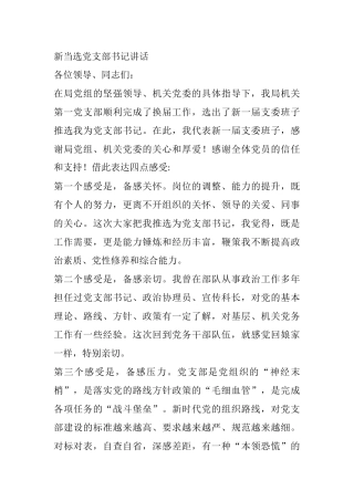 新当选党支部书记讲话