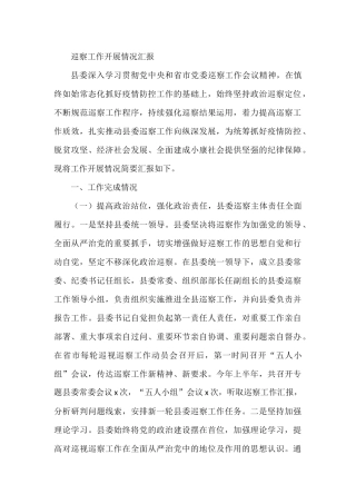 巡察工作开展情况汇报
