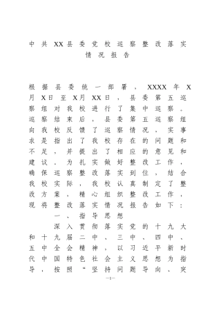 巡察整改落实情况报告