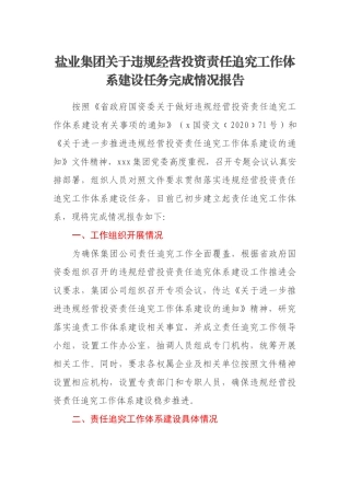 盐业集团关于违规经营投资责任追究工作体系建设任务完成情况报告