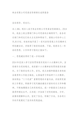 宣传工作述职报告（2篇）