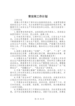 2024年青安岗工作计划