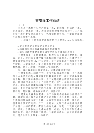 2024年青安岗工作总结