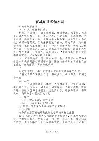 2024年青城矿业经验材料