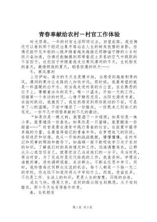 2024年青春奉献给农村村官工作体验