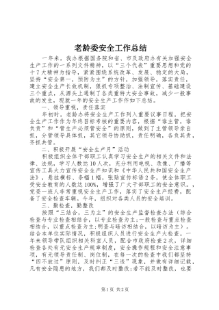 2024年老龄委安全工作总结