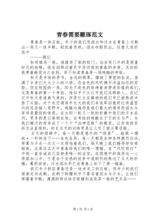 2024年青春需要雕琢范文
