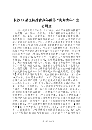 2024年长沙县区特殊青少年群落街角青年生态调查