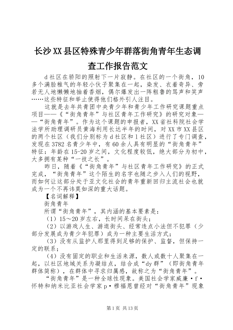 2024年长沙县区特殊青少年群落街角青年生态调查工作报告范文_第1页
