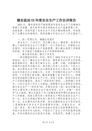 2024年镇安监站年度安全生产工作自评报告