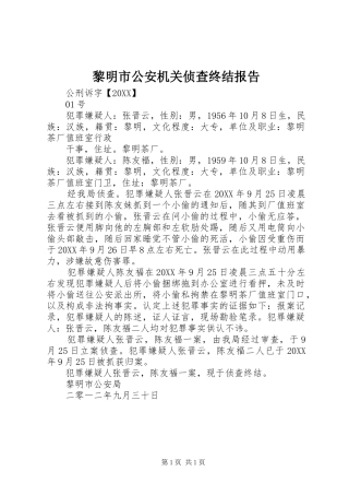 2024年黎明市公安机关侦查终结报告