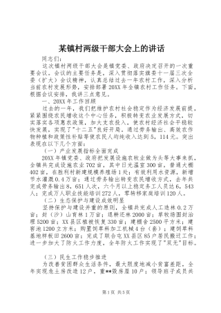 2024年镇村两级干部大会上的致辞