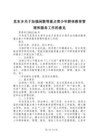 2024年里东乡关于加强闲散等重点青少年群体教育管理和服务工作的意见