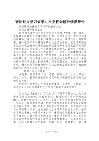 2024年青岗岭乡学习省第九次党代会精神情况报告