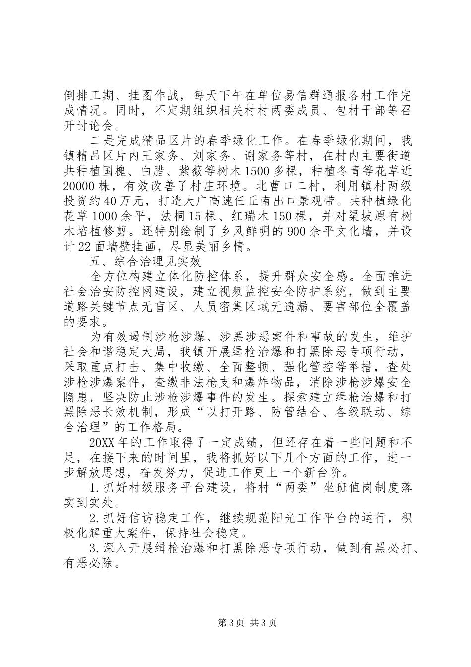 2024年镇党委副书记年度述职报告_第3页