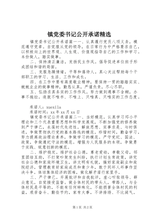 2024年镇党委书记公开承诺