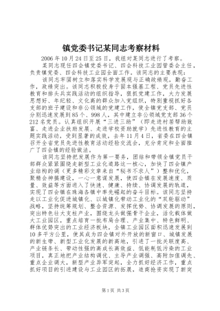 2024年镇党委书记同志考察材料新版