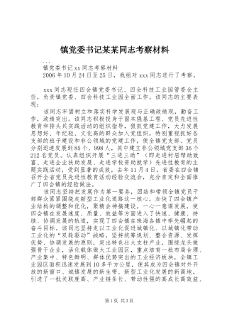 2024年镇党委书记同志考察材料正式版