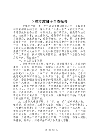 2024年镇党政班子自查报告