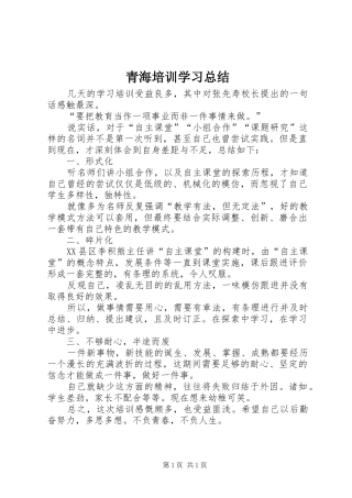 2024年青海培训学习总结