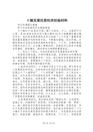 2024年镇发展民营经济经验材料