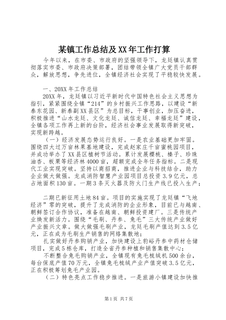 2024年镇工作总结及工作打算_第1页