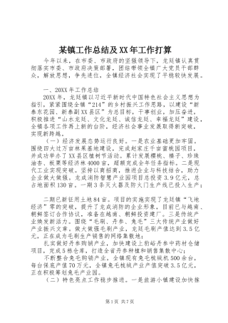 2024年镇工作总结及工作打算