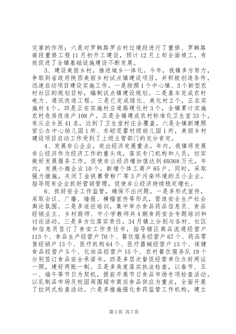 2024年镇工作总结及工作设想_第3页