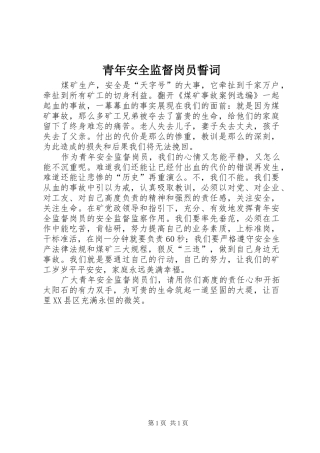 2024年青年安全监督岗员誓词