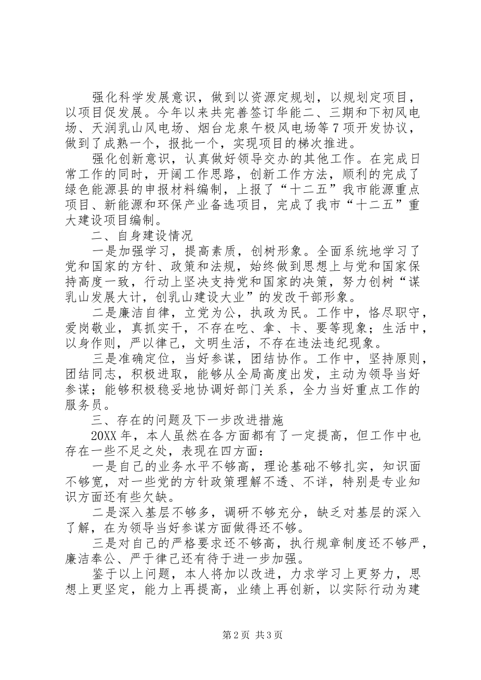 2024年重点办主任述职述廉报告_第2页