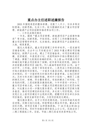 2024年重点办主任述职述廉报告