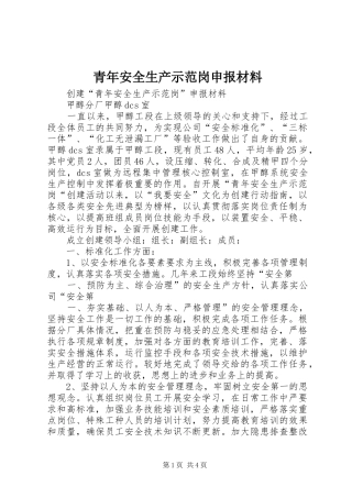 2024年青年安全生产示范岗申报材料