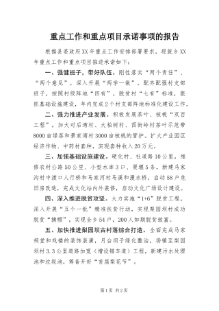 2024年重点工作和重点项目承诺事项的报告