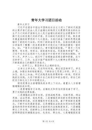 2024年青年大学习团日活动