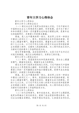 2024年青年大学习心得体会