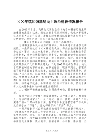 2024年镇加强基层民主政治建设情况报告