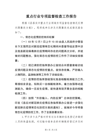 2024年重点行业专项监督检查工作报告
